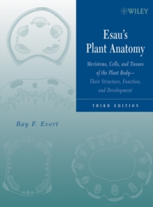 Image for Esau's Plant Anatomy