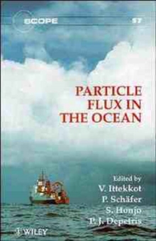 Image for Particle Flux in the Ocean