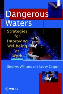 Image for Dangerous waters  : strategies for improving wellbeing at work