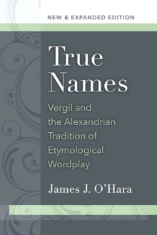 Image for True Names