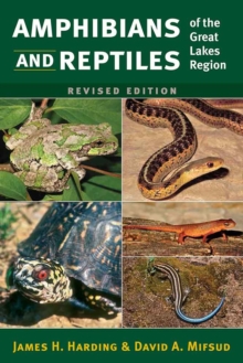Image for Amphibians and Reptiles of the Great Lakes Region
