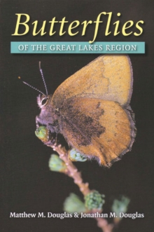 Image for Butterflies of the Great Lakes Region