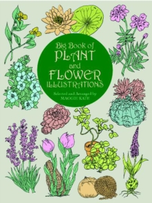 Image for Big book of plant and flower illustrations