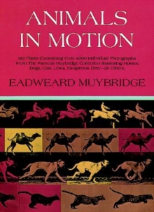 Image for Animals in motion