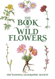 Book of Wild Flowers: Color Plates of 250 Wild Flowers and Grasses