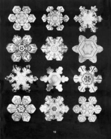 Image for Bentley's snowflakes