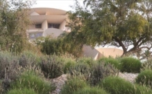 National Museum of Qatar Museum Guide