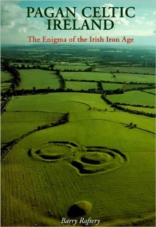 Image for Pagan Celtic Ireland