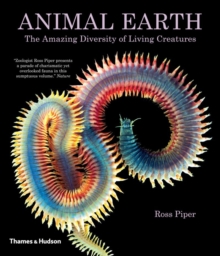 Image for Animal Earth  : the amazing diversity of living creatures