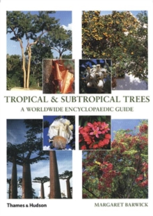 Image for Tropical & Subtropical Trees