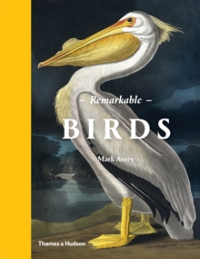 Remarkable Birds