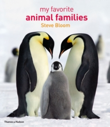 Image for My favourite animal families
