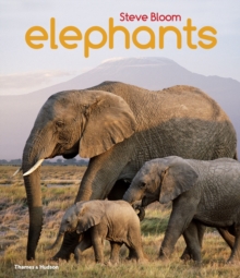 Image for Elephants