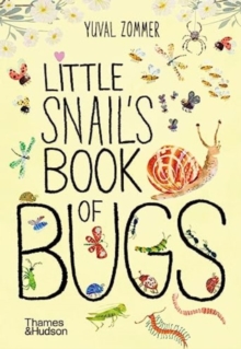 Image for Little Snail's book of bugs