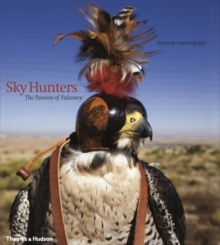 Image for Sky Hunters