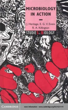 Image for Microbiology in action