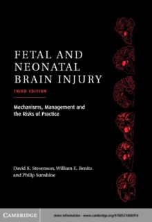 Image for Fetal and neonatal brain injury: mechanisms, management, and the risks of practice