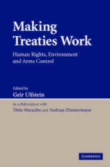 Image for Making treaties work: human rights, environment and arms control