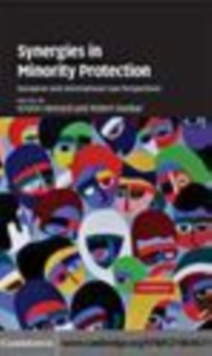 Image for Synergies in minority protection: European and international law perspectives