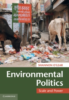 Image for Environmental Politics: Scale and Power