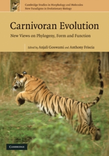 Image for Carnivoran Evolution: New Views on Phylogeny, Form and Function