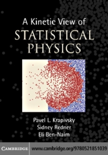 Image for A kinetic view of statistical physics