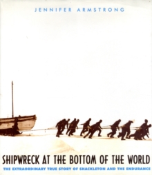 Image for Shipwreck at the bottom of the world