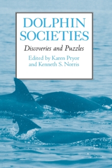 Image for Dolphin Societies : Discoveries and Puzzles