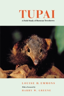 Image for Tupai  : a field study of Bornean treeshrews