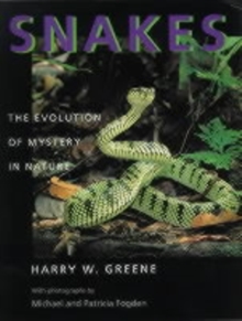 Image for Snakes : The Evolution of Mystery in Nature