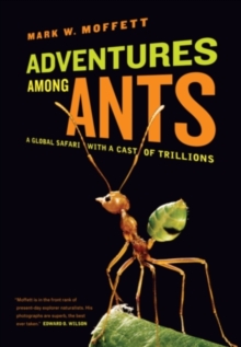 Image for Adventures among ants  : a global safari with a cast of trillions