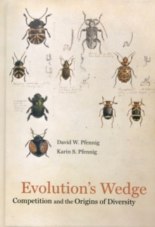 Image for Evolution's wedge  : competition and the origins of diversity