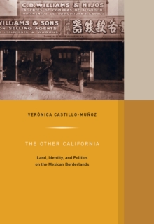 Image for The other California: land, identity and politics on the Mexican borderlands
