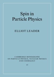 Spin in Particle Physics
