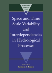 Space and Time Scale Variability and Interdependencies in Hydrological Processes