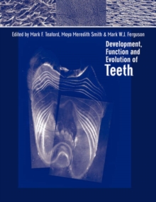 Image for Development, function and evolution of teeth