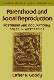 Parenthood and Social Reproduction