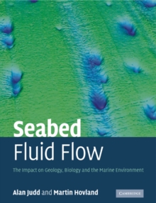 Image for Seabed Fluid Flow