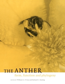 Image for The Anther