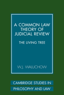 Common Law Theory of Judicial Review