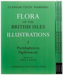 Flora of the British Isles 4 Volume Paperback Set