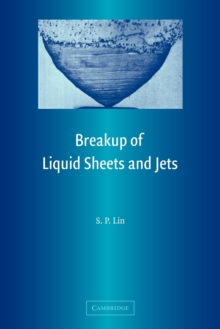 Breakup of Liquid Sheets and Jets