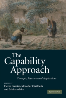 Image for The capability approach  : concepts, measures and applications