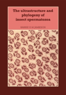 Ultrastructure and Phylogeny of Insect Spermatozoa