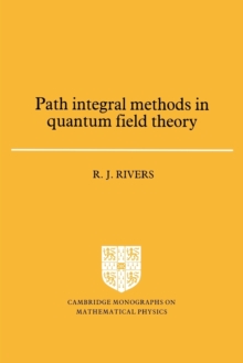 Path Integral Methods in Quantum Field Theory