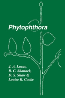 Image for Phytophthora