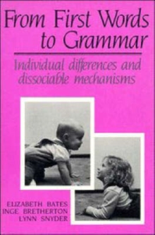 From First Words to Grammar
