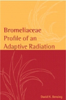 Image for Bromeliaceae