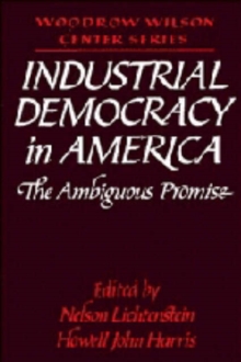 Industrial Democracy in America