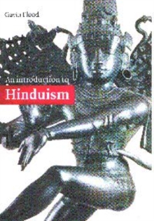 Image for An Introduction to Hinduism